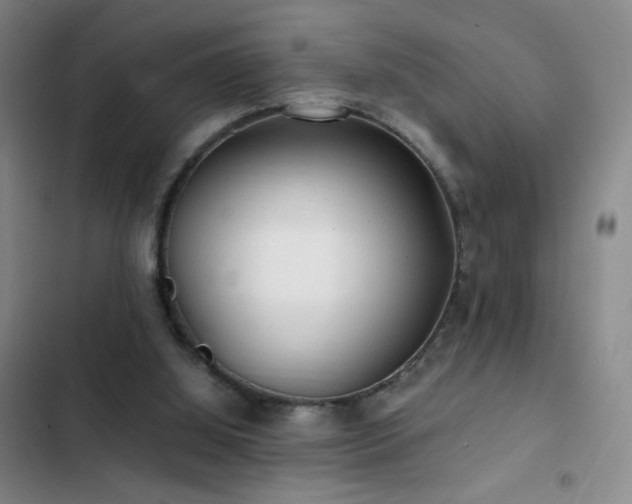X0000103310060200808291438