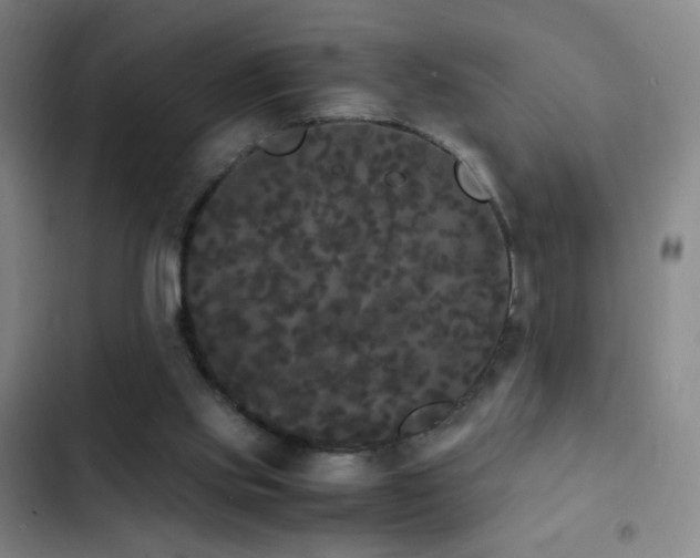 X0000103310061200808291438
