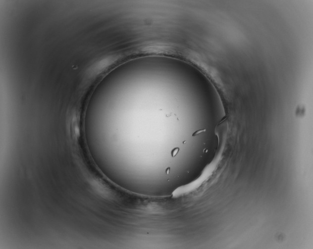 X0000103310062200808291438
