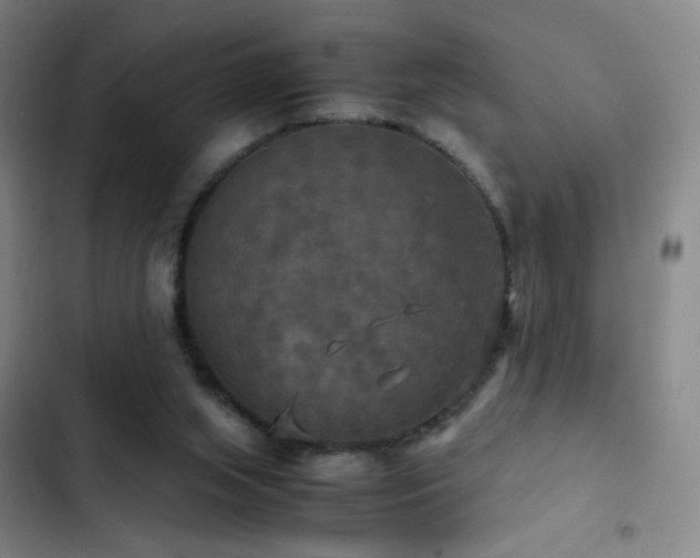 X0000103310063200808291438