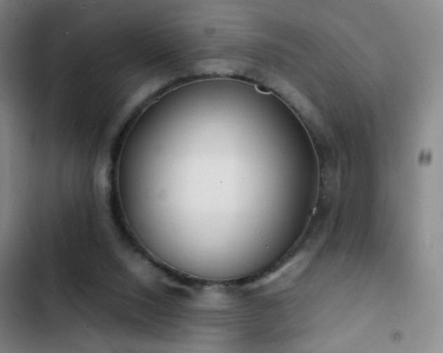 X0000103310064200808291438
