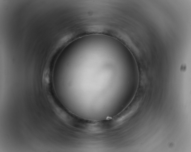 X0000103310068200808291438
