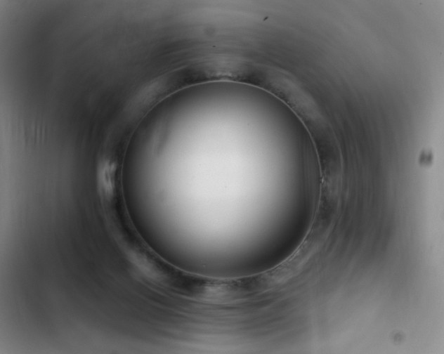 X0000103310070200808291438