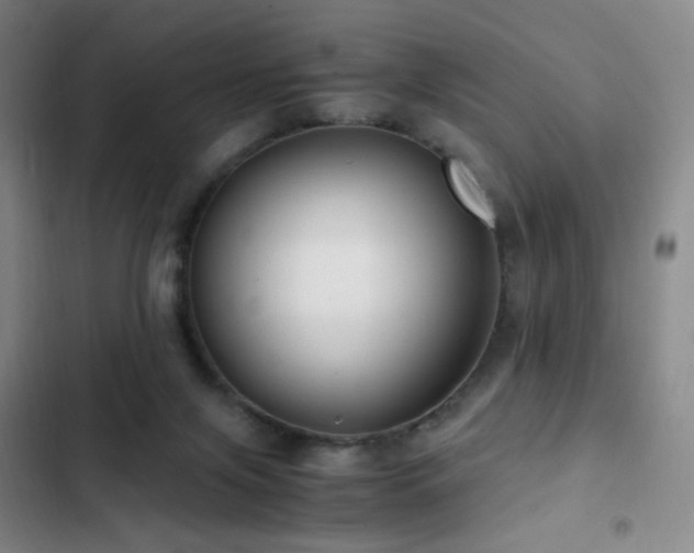 X0000103310071200808291438