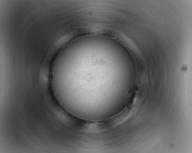 X0000103310072200808291438