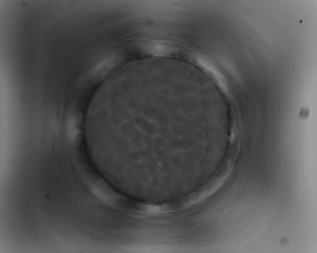 X0000103310073200808291438