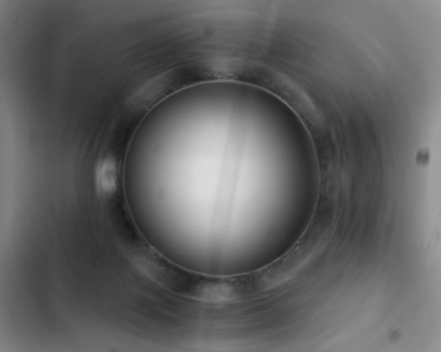 X0000103310075200808291438