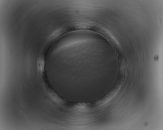 X0000103310076200808291438