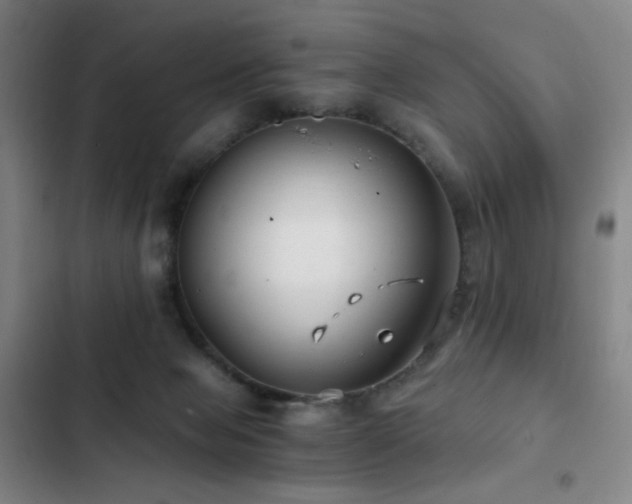 X0000103310077200808291438