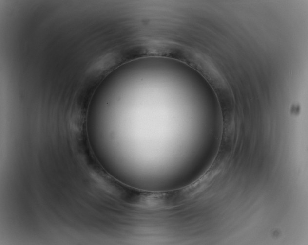 X0000103310078200808291438