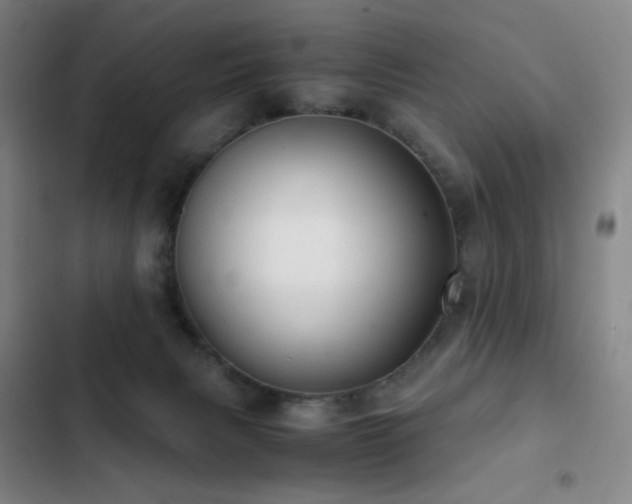 X0000103310079200808291438