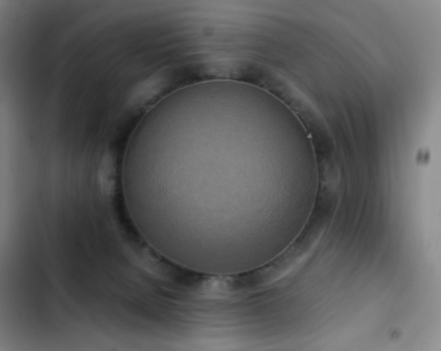 X0000103310080200808291438