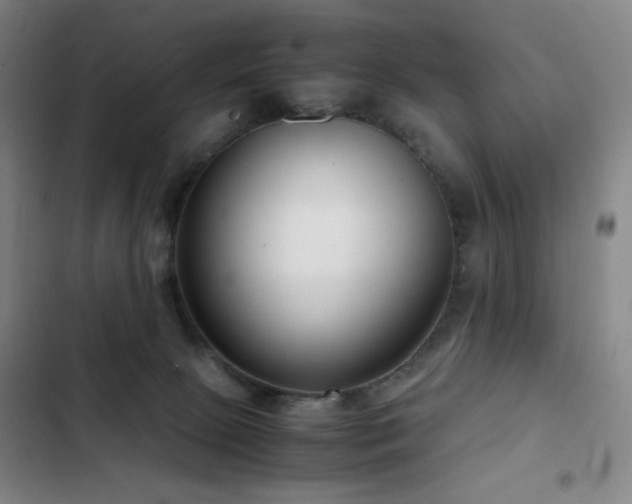 X0000103310081200808291438