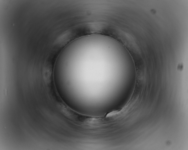 X0000103310082200808291438