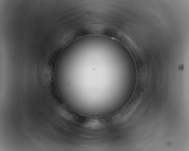 X0000103310083200808291438