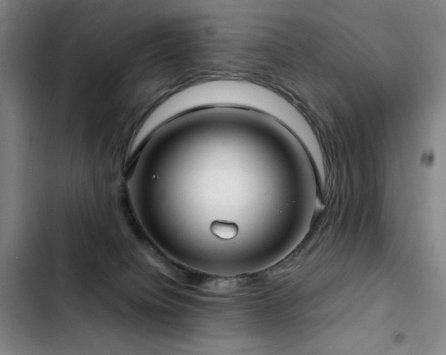 X0000103310084200808291438