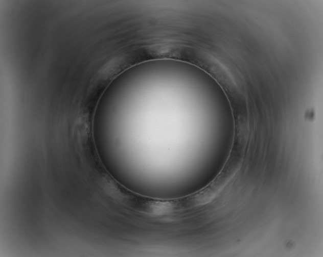 X0000103310085200808291438