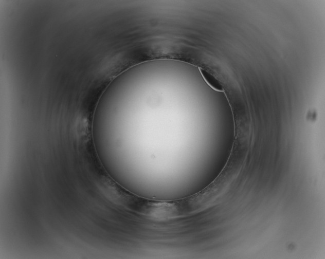 X0000103310087200808291438