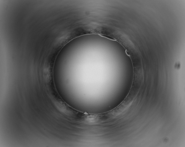 X0000103310088200808291438