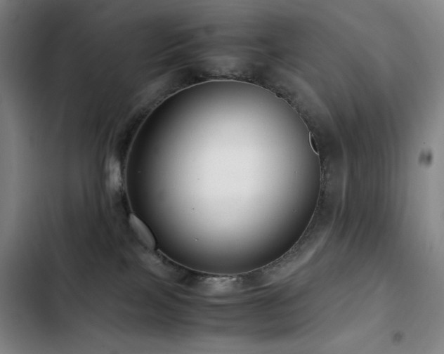 X0000103310089200808291438