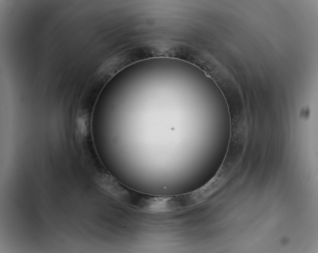 X0000103310090200808291438