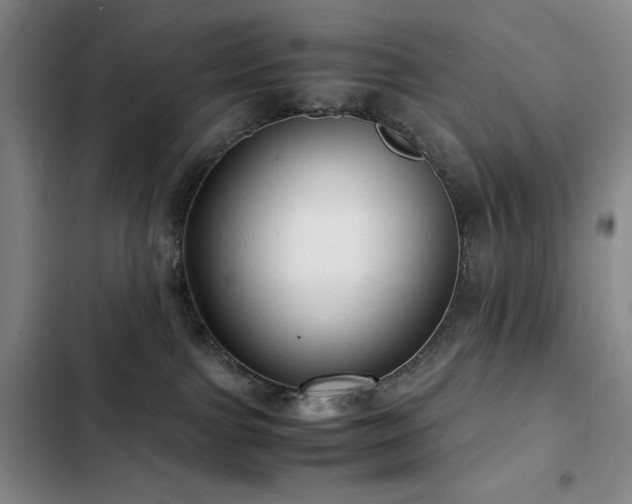 X0000103310091200808291438