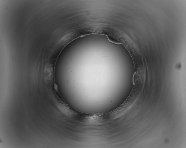 X0000103310092200808291439