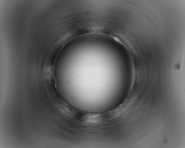 X0000103310093200808291439