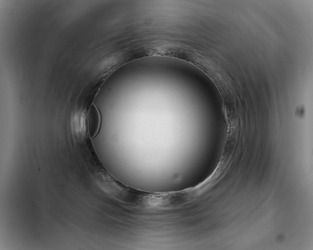 X0000103310094200808291439