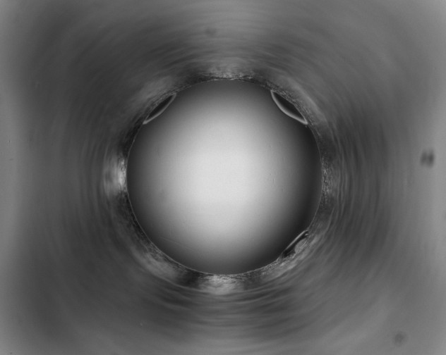 X0000103310095200808291439