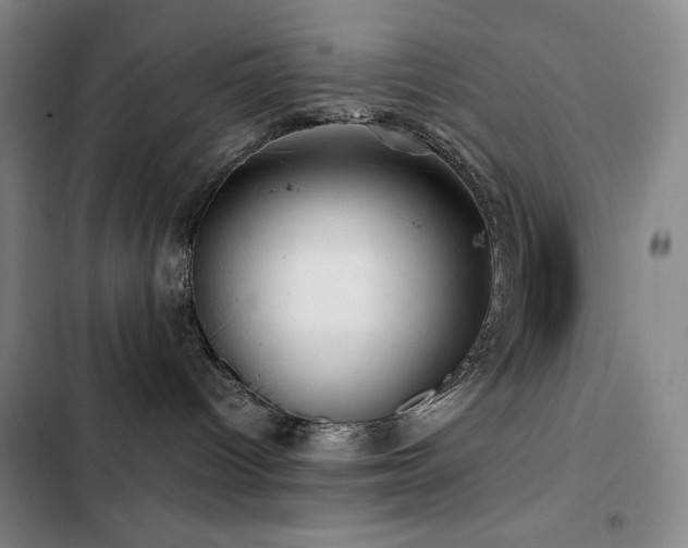 X0000103310096200808291439