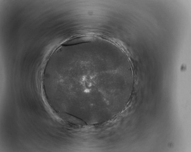 X0000103310097200808291438