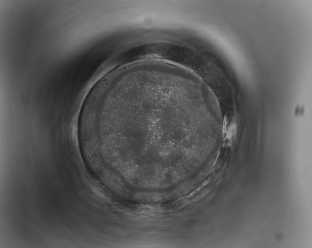 X0000103310099200808291438