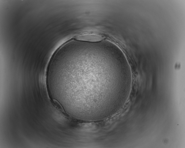 X0000103310100200808291438