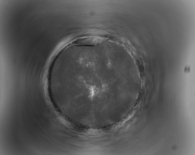 X0000103310101200808291438