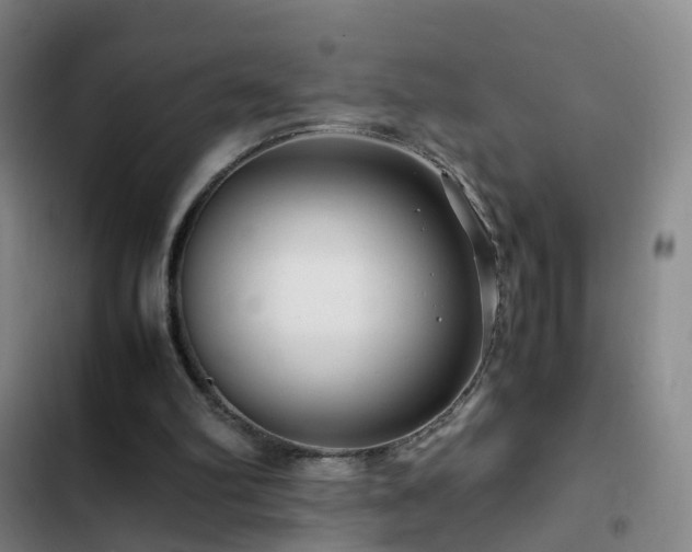 X0000103310102200808291438