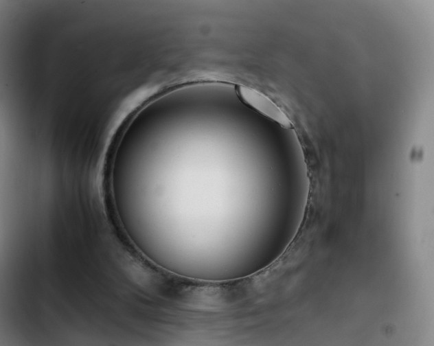X0000103310104200808291438