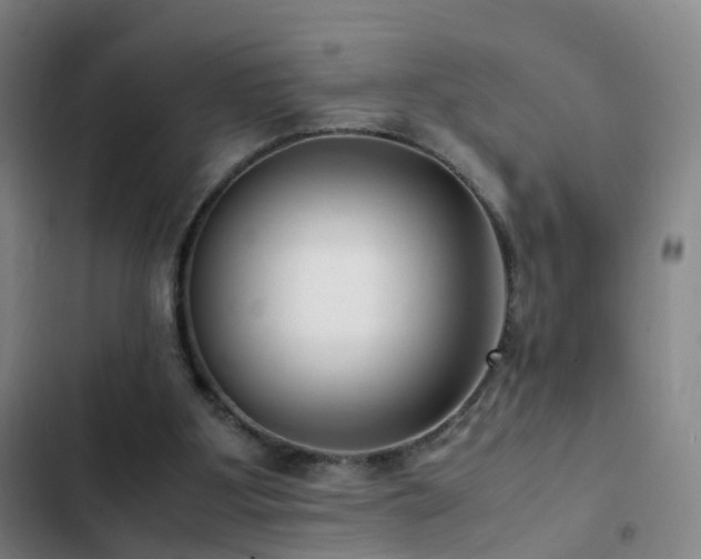 X0000103310107200808291438
