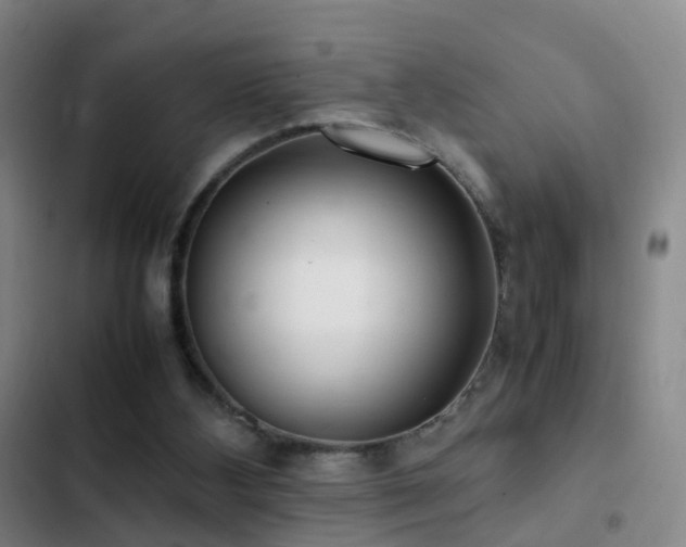 X0000103310108200808291438