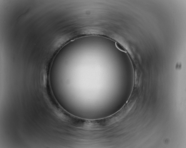 X0000103310109200808291438