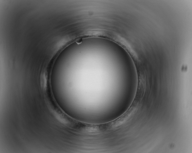 X0000103310110200808291438