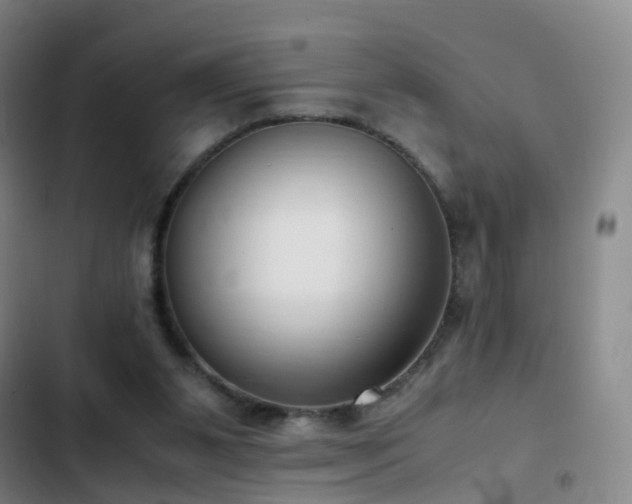 X0000103310111200808291438