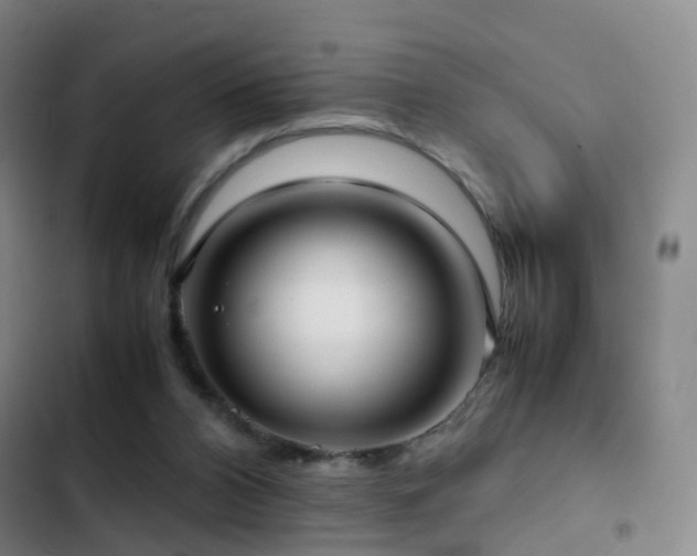X0000103310112200808291438