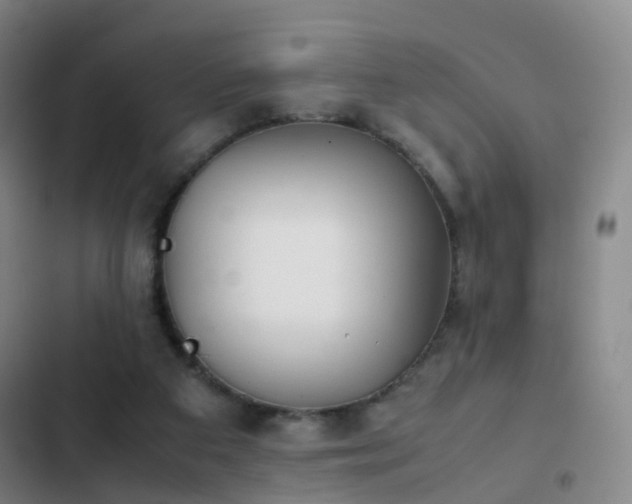 X0000103310113200808291438