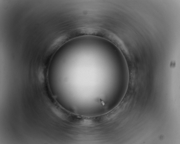 X0000103310114200808291438