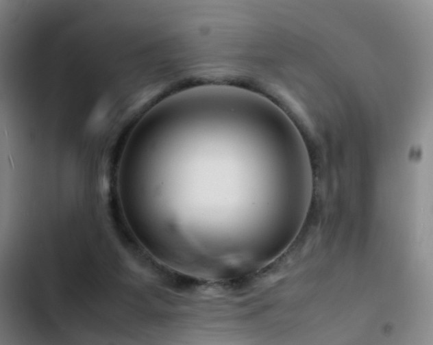 X0000103310115200808291438