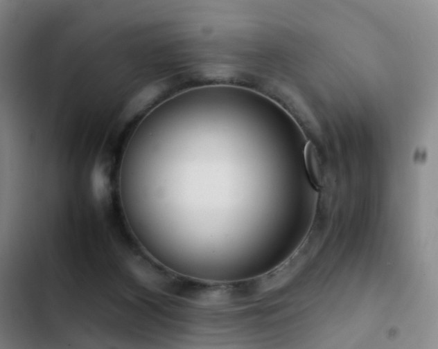 X0000103310116200808291438