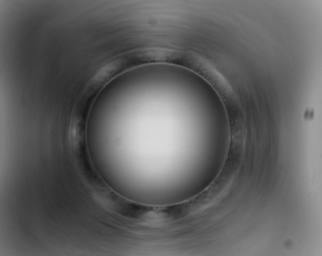 X0000103310119200808291438