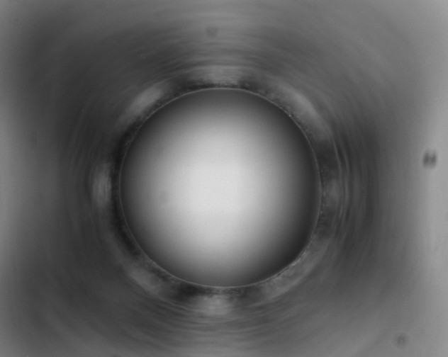 X0000103310120200808291438