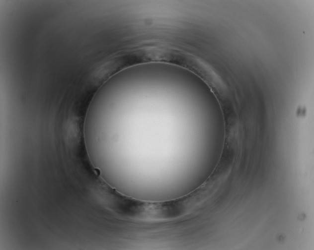 X0000103310121200808291438